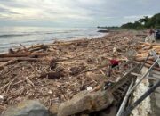 Ribuan Potongan Kayu Terdampar di Pantai Padang Pasca Banjir Bandang