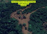 Citra Satelit Maxar Ungkap Penebangan Kayu Masif di Hulu DAS Aia Dingin, WALHI: Bukti Kuat Penyebab Galodo Sumbar