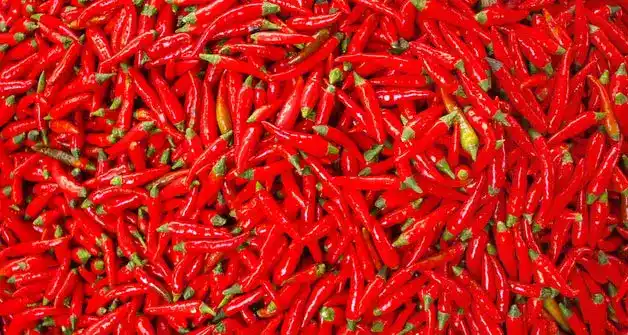 668782 12284213012017 Cabai Rawit Merah