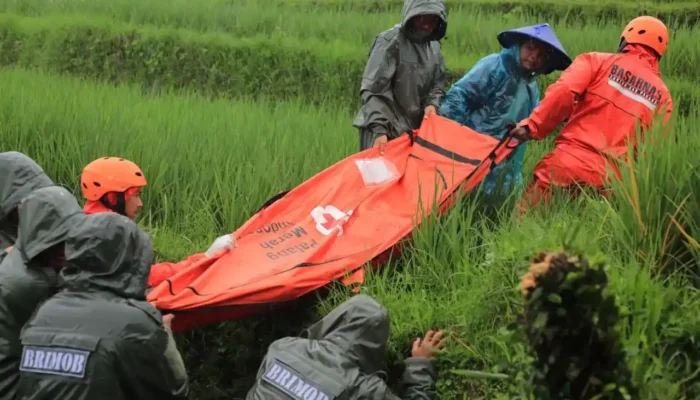 Update Data Korban Bencana Sumbar: 241 Meninggal, 93 Belum Ditemukan