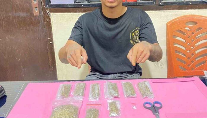 Sat Narkoba Polres Payakumbuh Tangkap Pengedar, Sita Sabu dan Ganja dalam Penggerebekan di Taeh Bukik