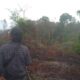 IMG 20251205 WA0043