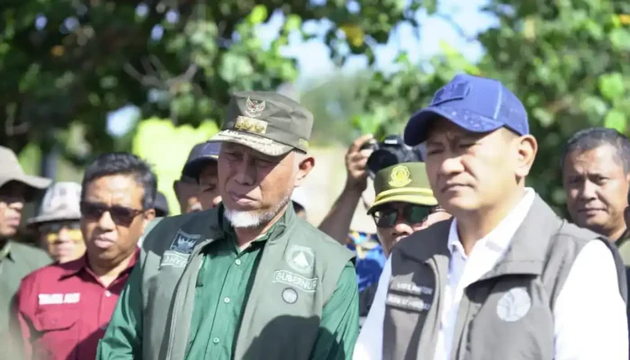 Kemenhut Izinkan Pemanfaatan Kayu Terbawa Banjir Bandang untuk Pembangunan Huntara dan Huntap