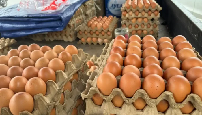 Momen Nataru, Harga Telur Ayam Rp65.000,-/ Tikar