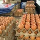 IMG 20251225 WA0029