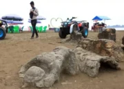 Menyingkap Fakta di Balik Legenda Batu Malin Kundang di Pantai Air Manis