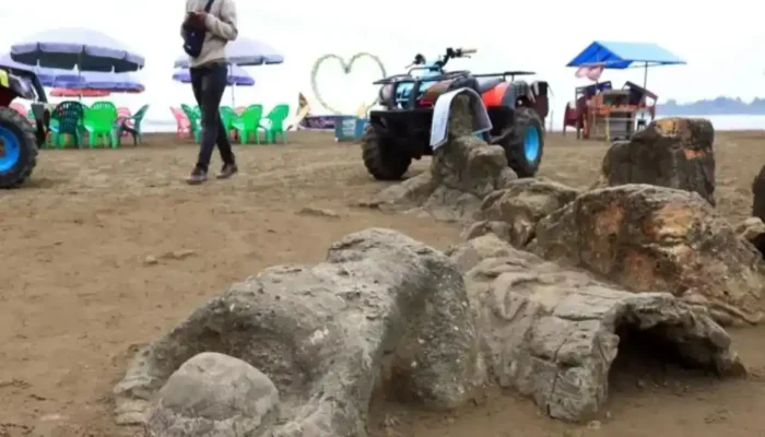 Menyingkap Fakta di Balik Legenda Batu Malin Kundang di Pantai Air Manis