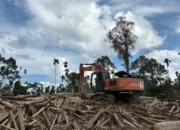 BNPB Percepat Pemulihan Pascabencana di Aceh Utara, Akses Jalan dan Sekolah Mulai Dinormalisasi 10 IMG 20251230 WA0002