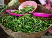 Harga Cabai Rawit di Kota Padang Tembus Rp80 Ribu