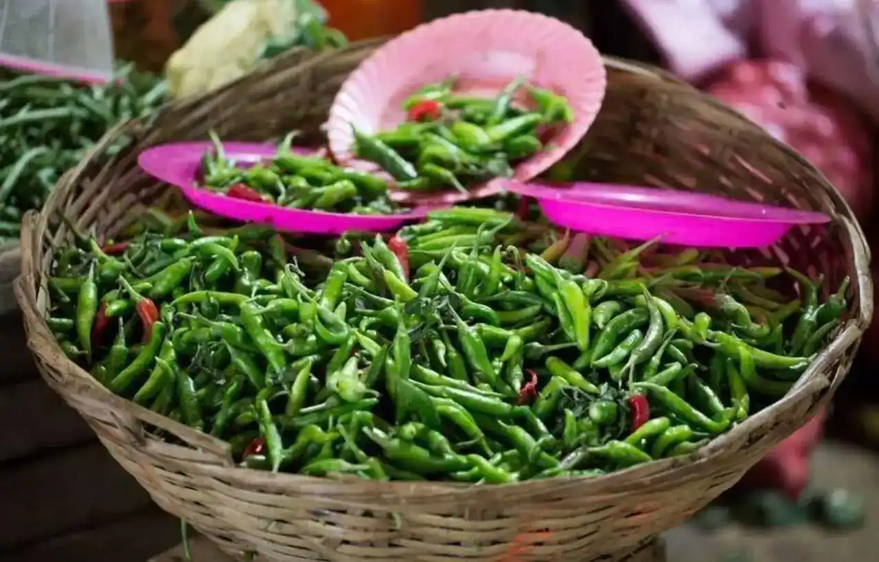 cabe rawit RRI.CO .ID