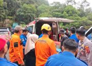 Mobil Grand Max Masuk Jurang di Kelok Sembilan, 7 Penumpang Asal Pekanbaru Selamat 15 80601a3e 68d0 4a2c a513 f4802920ba94