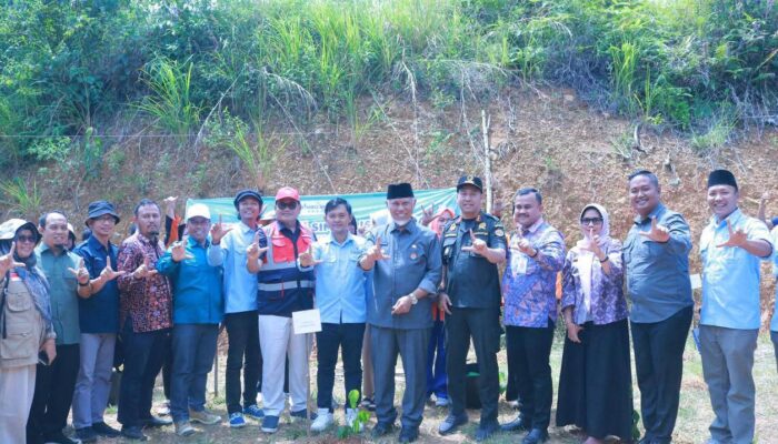 Krisis Air Bersih, Padang Jadi Lokasi Launching Sejuta Pohon untuk Sumbar