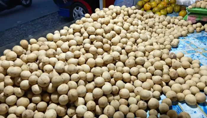 Sering Disamakan, Ini Perbedaan Buah Langsat dan Duku
