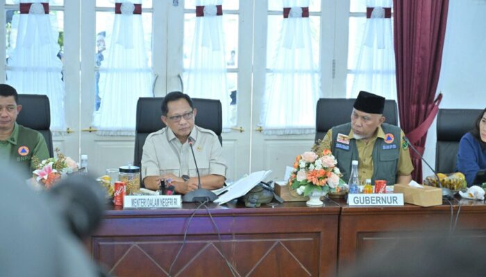 Program Nasional 300 Ribu Jembatan, Mendagri Dorong Sumbar Segera Ajukan Data