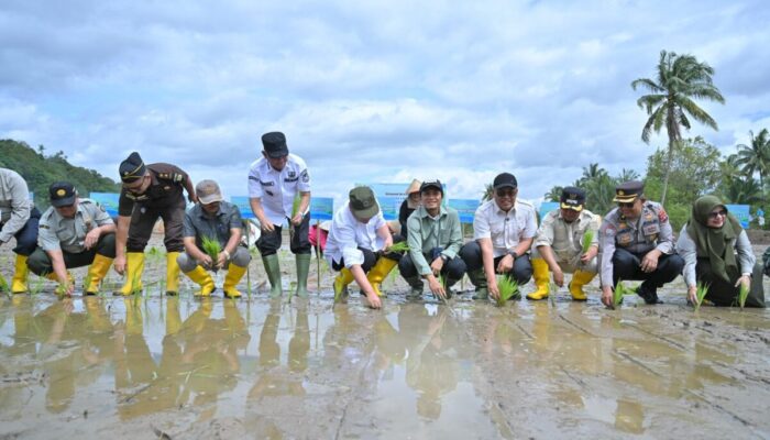 Kementan Mulai Rehabilitasi Lahan Terdampak Bencana di Sumbar, Dimulai dari Kabupaten Solok