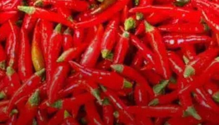 Harga Cabai di Pasar Nanggalo Turun, Kini Satu Kilo Rp 30.000 Ribu