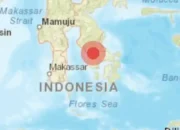 Gempa Magnitudo 3,6 Guncang Kolaka Sulawesi Tenggara