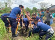 Damkar Padang Evakuasi Sapi yang Terperosok ke Dalam Sumur di Koto Tangah