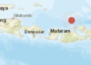 Gempa Magnitudo 4,7 Guncang Utara Sumbawa, Getaran Terasa hingga Lombok Timur