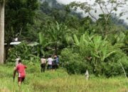 Kemunculan Beruang Madu di Nagari Sinuruik Pasbar, BKSDA Sumbar Pasang Kandang Jebak 13 95c25e3f 7a52 48f4 a07c 970bdf87aa97