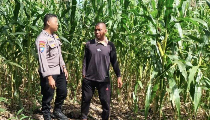 Dukung Asta Cita Presiden, Bhabinkamtibmas Polsek Bonjol Ajak Warga Manfaatkan Lahan Tidur