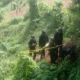 IMG 0379