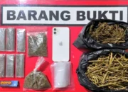 Pemuda 22 Tahun di Solok Ditangkap Polisi, Sejumlah Paket Ganja Disita 14 IMG 1457