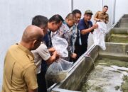 Perkuat Ketahanan Pangan, Rutan Padang Panjang Tebar 5.000 Bibit Lele 10 IMG 20260505 WA0002