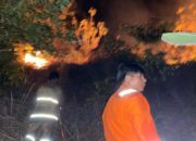 BNPB Catat Banjir, Longsor dan Karhutla Terjadi di Sejumlah Daerah