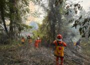 BNPB: Banjir dan Karhutla Dominasi Bencana di Sejumlah Daerah