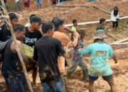 Longsor Tambang Emas Ilegal di Sijunjung Tewaskan 9 Penambang, Polisi Pastikan Penyelidikan 10 IMG 20260515 WA0001 1