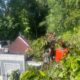 IMG 20260521 WA0067