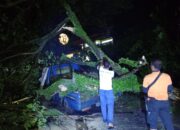 Hujan dan Angin Kencang Terjang Padang, BPBD Catat 19 Kejadian Bencana 13 IMG 20260522 WA0001