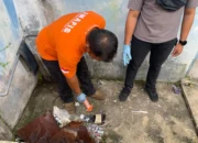 Polres Solok Selatan Usut Dugaan Perusakan Kantor PWI, Olah TKP Sudah Dilakukan 16 IMG 2769