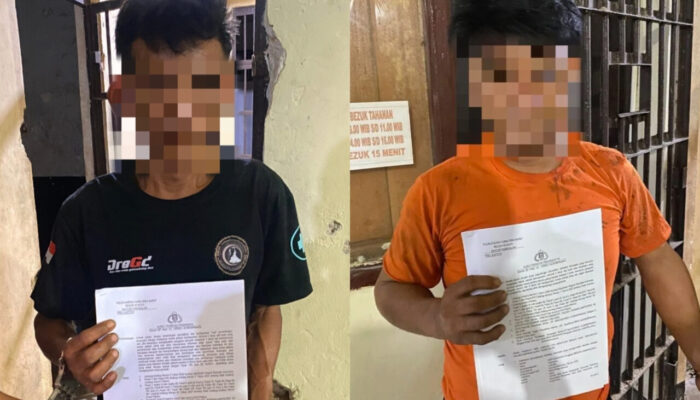 Curi Sawit PTPN IV, Dua Pria di Pangkalan Koto Baru Diringkus Polisi
