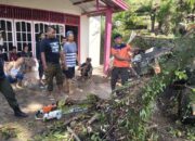 Hujan dan Angin Kencang di Padang, Pohon Tumbang Timpa Parabola dan Blokir Akses Jalan di Teluk Bayur 10 525a7132 82f6 4185 933e e31c19b51c15