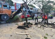 Truk Tabrak Pohon Pembatas Jalan di Bandar Buat, Akses Padang–Solok Sempat Terganggu 10 IMG 20260611 WA0000