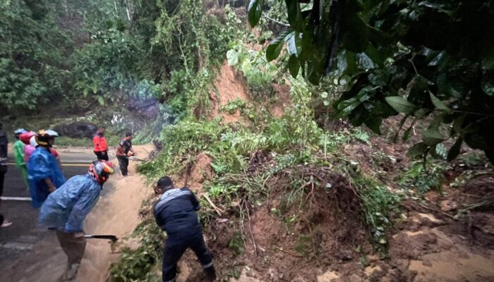 Hujan Deras Picu Tujuh Bencana di Padang
