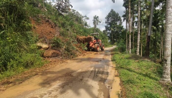 Dinas PUTR Agam Longsor yang Tutupi Jalan Simpang BK–Koto Alam