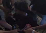 IMG 3623