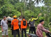 Truk Tak Kuat Menanjak di Padang Pariaman, Seorang Kernet Tewas Terjepit Kolong Truk 11 940c4e07 df40 486c 90fc a81dec1e4d30