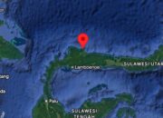 Gempa Magnitudo 4,1 Guncang 36 Kilometer Utara Buol, Sulawesi Tengah 14 FB IMG 1784559844761