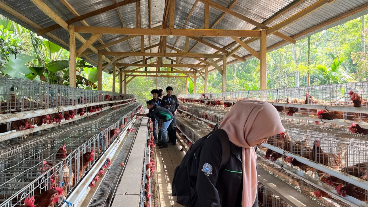 IMG 20260716 WA0010