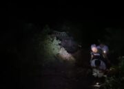 Mobil Terjun ke Jurang 80 Meter di Sitinjau Lauik, Tim SAR Diterjunkan Lakukan Evakuasi 14 Sebuah kecelakaan tunggal terjadi di kawasan Panorama Sitinjau Lauik, Kecamatan Lubuk Kilangan, Kota Padang,