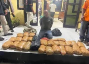 Polda Sumbar Tangkap Kurir Ganja Antarprovinsi di Pasaman Barat, Puluhan Paket Disita 14 IMG 4560