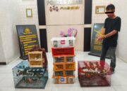 Polres Agam Tangkap Pembawa Ratusan Burung Ilegal, 8 Ekor Di Antaranya Satwa Dilindungi Jenis Cica Daun 15 be07a8df aa8c 4b97 b1ec 1a318ec1daa5