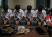 Empat Pelajar SMA di Pesisir Selatan Diamankan Polisi, Diduga Terlibat Peredaran Ganja di Lingkungan Sekolah 16 ilustrasi ganja pelajar under2MB