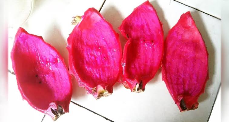 7 manfaat kulit buah naga baik untuk kesehatan dan kecantikan