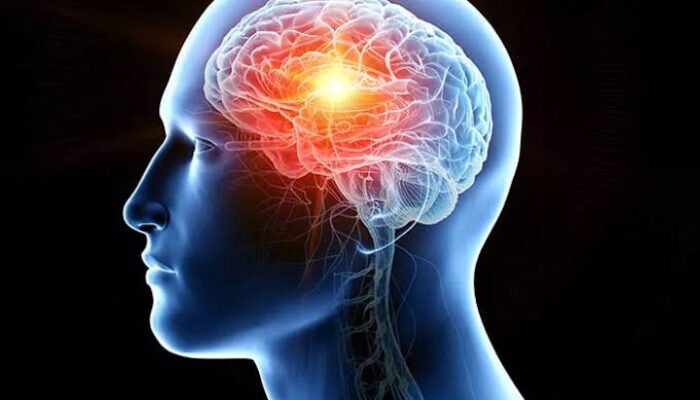 12 Fakta Menarik Tentang Otak Manusia yang Jarang Diketahui. Organ Super Canggih Yang Masih Mengungguli Superkomputer
