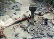 BPBD Kota Padang Lanjutkan Pembersihan Pohon Tumbang di Sungai Batang Aro 16 0f54235b b24c 412f a864 c7628c259b4e